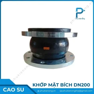Khớp nối giảm chấn cao su DN200