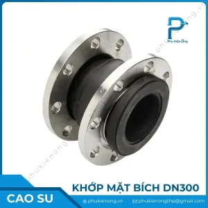 Khớp nối mềm cao su mặt bích DN300