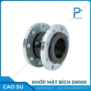 Khớp nối mềm cao su DN100