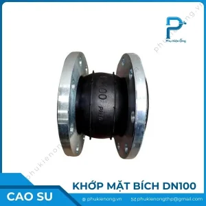Khớp nối mềm cao su DN100