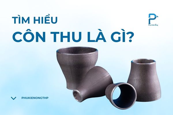 Côn thu là gì? Các loại côn thu thông dụng