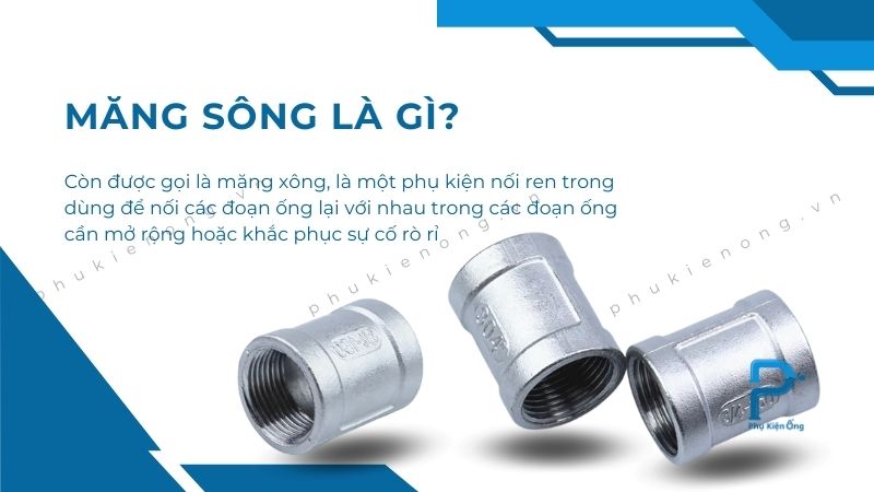 Giải đáp măng sông là gì