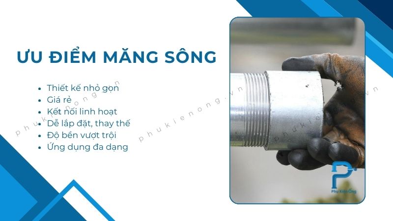 Ưu điểm nổi bật của măng sông