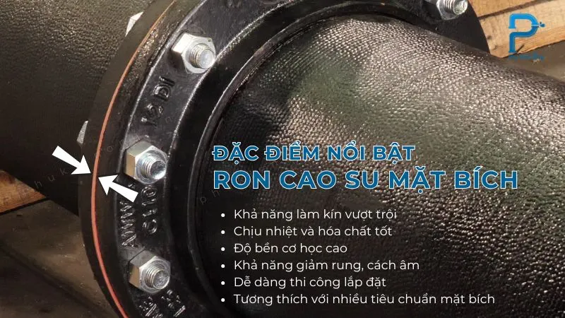 Đặc điểm nổi bật của gioăng cao su mặt bích