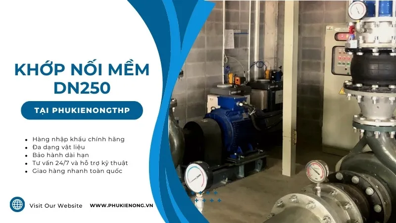 Khớp nối mềm DN250 (Phi 273) chất lượng cao tại Phụ kiện ống THP