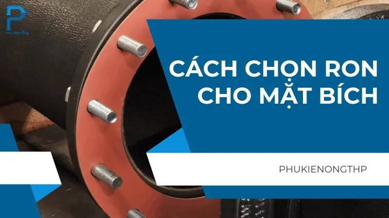 6 cách chọn ron cho mặt bích được các kỹ sư gợi ý!