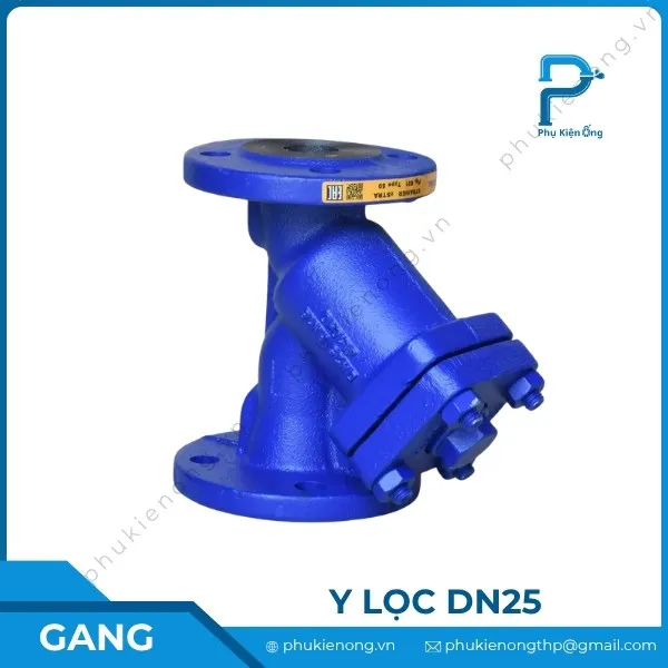 Lọc y gang DN25