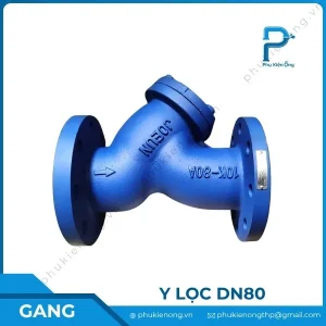 Y lọc gang DN80