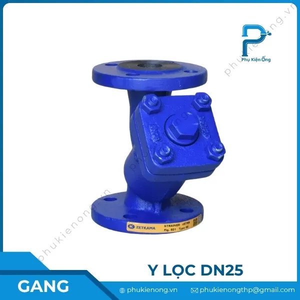 Lọc y gang DN25