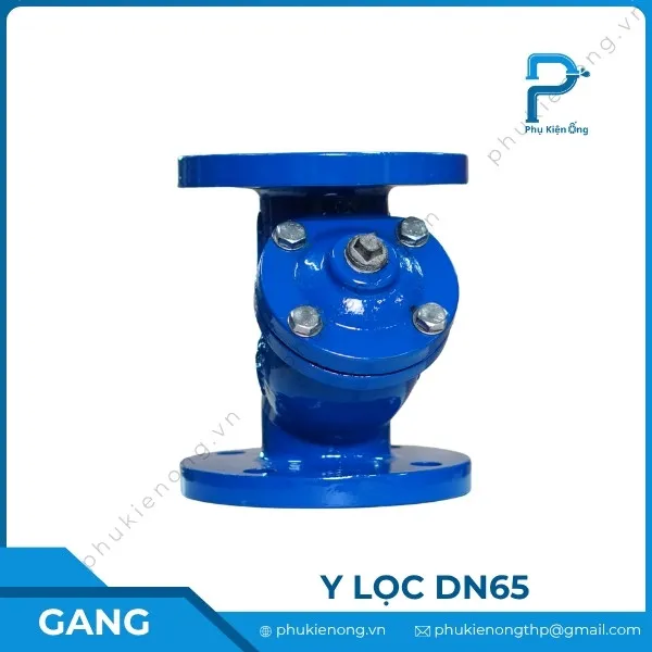 Y lọc gang DN65