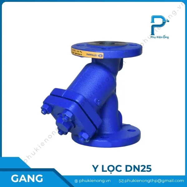 Lọc y gang DN25