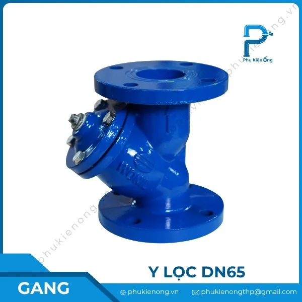Y lọc gang DN65