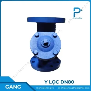 Lọc y gang DN80