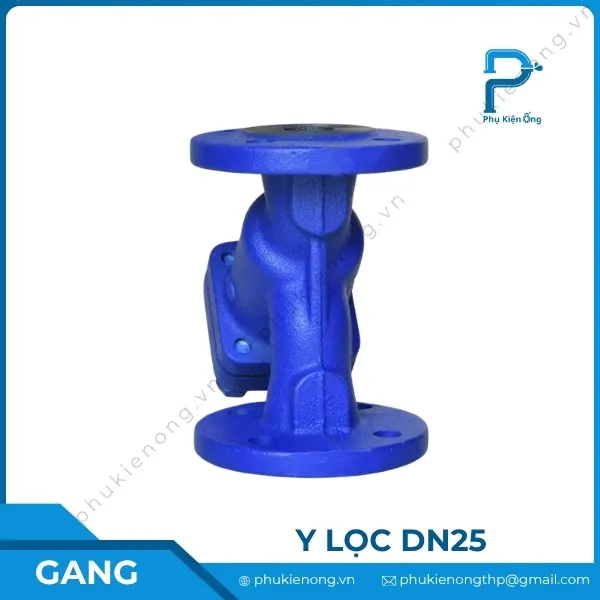 Lọc y gang DN25