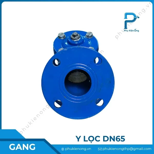 Y lọc gang DN65