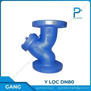 Lọc y gang DN80