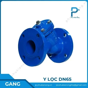 Y lọc gang DN65