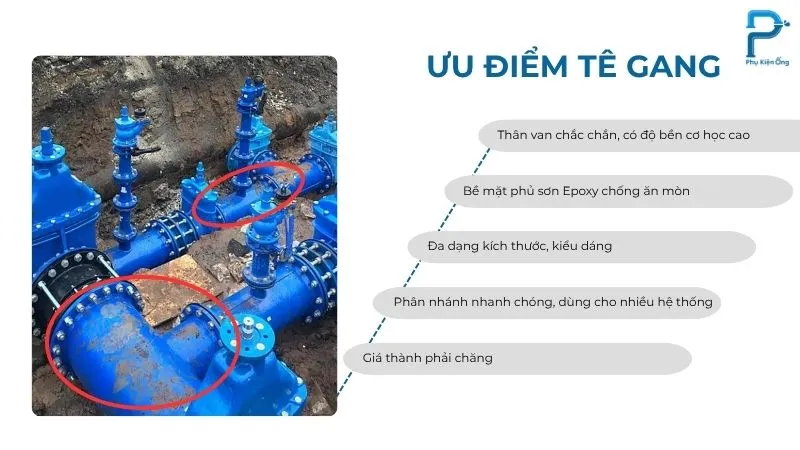Ưu điểm nổi bật của tê gang